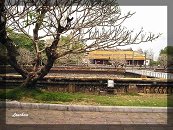 [Click to enlarge]